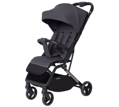 Коляска CARRELLO Porto CRL-5522 Tan Grey