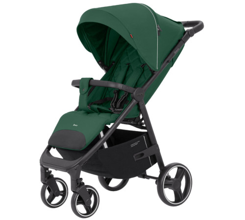 Коляска CARRELLO Bravo CRL-8512 Spring Green