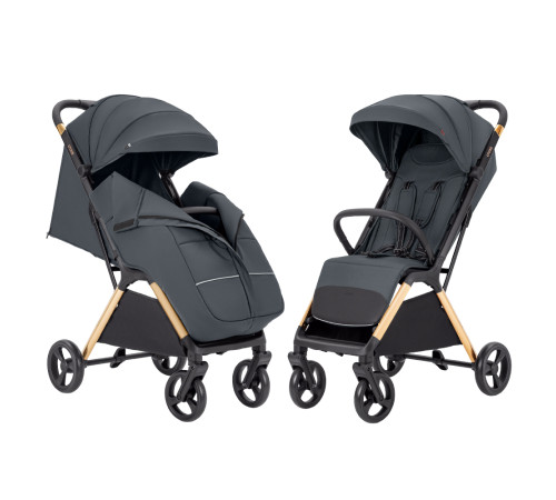 Коляска CARRELLO Cross CRL-5523 Eagle Grey