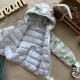 Куртка демі з динозаврами сіра