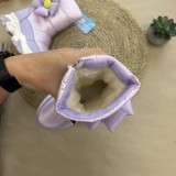 Зимові дутики квітка