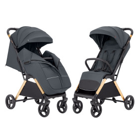 Коляска CARRELLO Cross CRL-5523 Eagle Grey