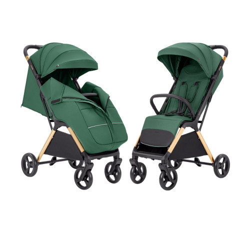 Коляска CARRELLO Cross CRL-5523 Parrot Green