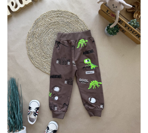 Спортивні штани Dinosaurs коричневі