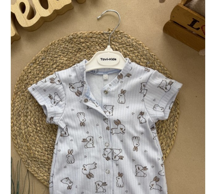 Пісочник зайчення блакитний