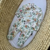 Чоловічок крихітка