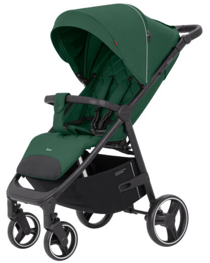 Коляска CARRELLO Bravo CRL-8512 Spring Green
