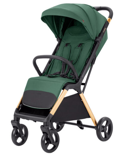 Коляска CARRELLO Cross CRL-5523 Parrot Green