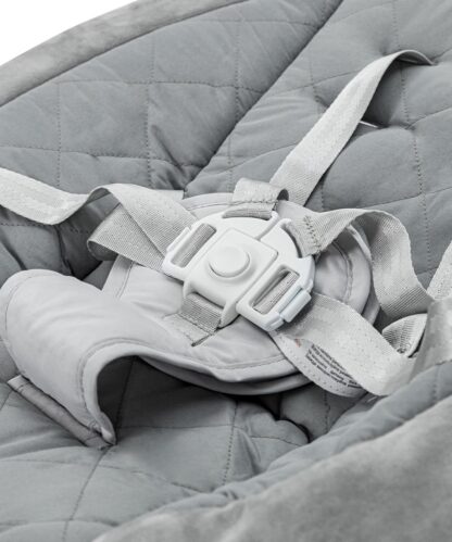 Люлька-гойдалка CARRELLO Mio CRL-10308 Silver Grey