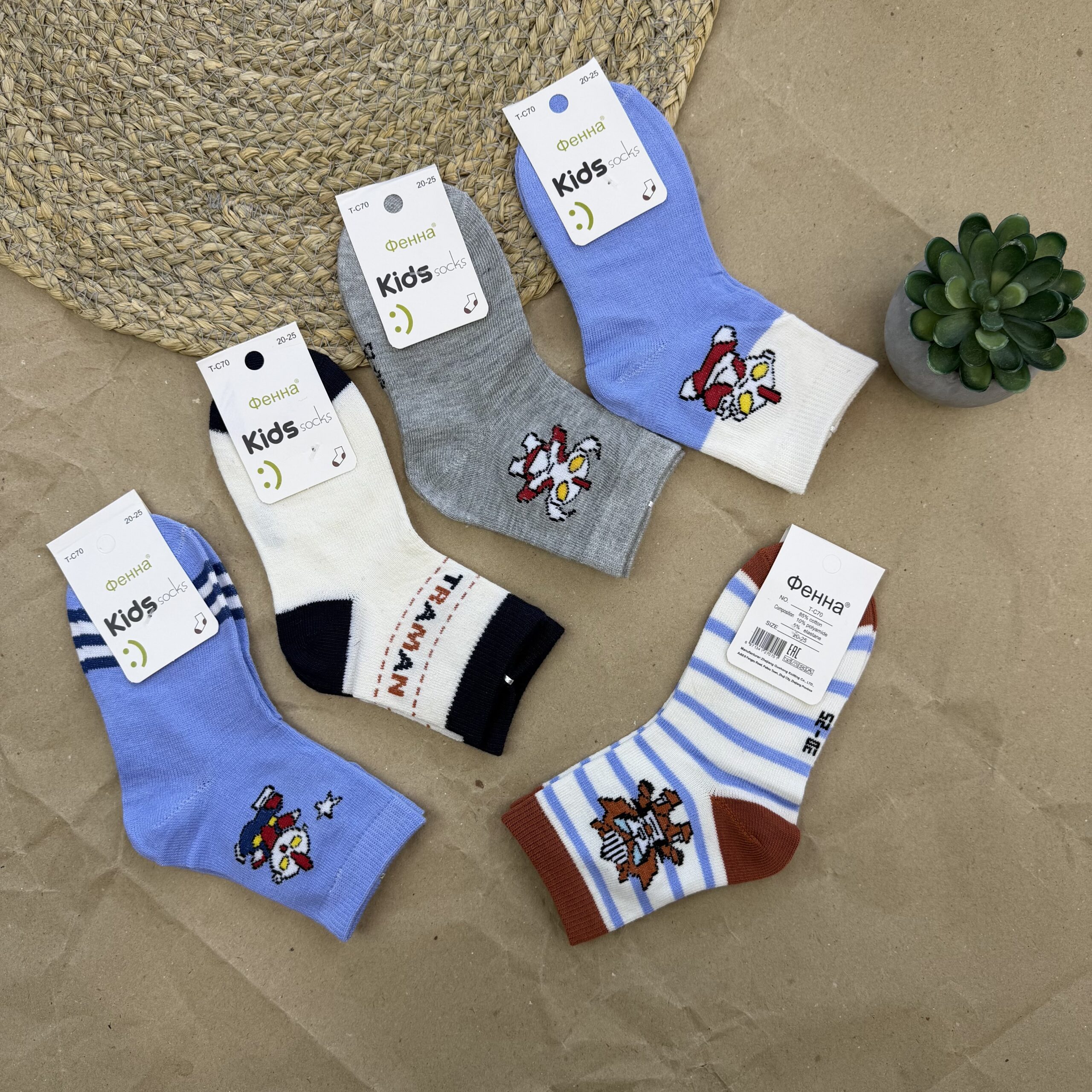 Шкарпетки фенна хлопчик 10 шт